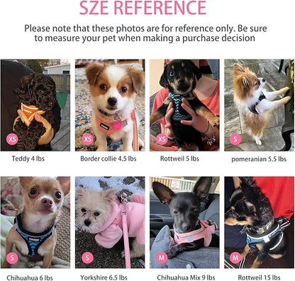 Dog Harness for Small Dogs and Leash Set, Honeycomb Grid, Reflective Lightweight Harness & Anti-Twist Pet Lead (Multi Color, Size: XS-S-M) (S, Rose red)