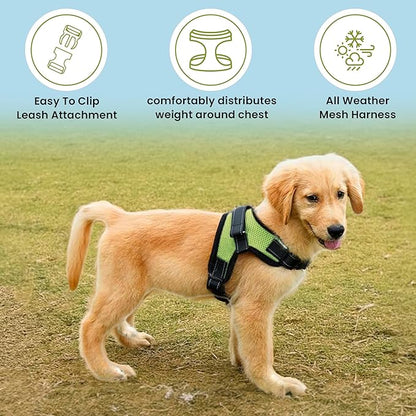 No Pull Reflective Adjustable Dog Harness With Handle- Comfortable Soft All Weather Mesh, Easy On Puppy Harness For Small Medium and Large Dogs (Green) X-Large