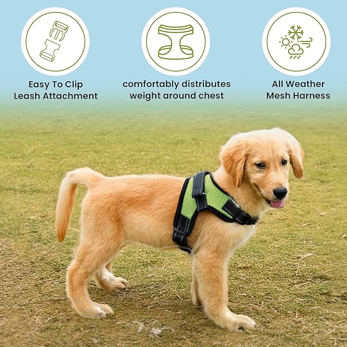 No Pull Reflective Adjustable Dog Harness With Handle- Comfortable Soft All Weather Mesh, Easy On Puppy Harness For Small Medium and Large Dogs (Green) Medium