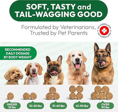 Glucosamine for Dogs - Hip and Joint Supplement for Dogs - 170 Mobility Chews - Glucosamine Chondroitin - MSM - Turmeric - Joint Pain Relief - Advanced Support for Dog Health - Made in USA