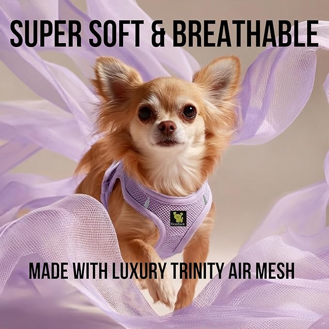 EcoBark Teacup Dog Harness - Step in Luxury Dog Harnesses for Teacup Breed Dogs - Reflective and Adjustable Mini Body Halter Vest -Tiny Soft Mesh Toy Breed Harness (Lavender, XXS)