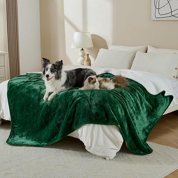 Waterproof Blanket for Bed Couch Sofa, Soft Liquid Pee Proof Pet Blanket for Dog Puppy Cat, Reversible Sherpa Fleece Furniture Protector (Green, 50x60 inches)