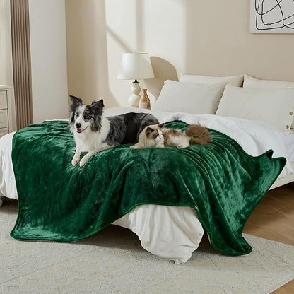 Waterproof Blanket for Bed Couch Sofa, Soft Liquid Pee Proof Pet Blanket for Dog Puppy Cat, Reversible Sherpa Fleece Furniture Protector (Green, 50x60 inches)
