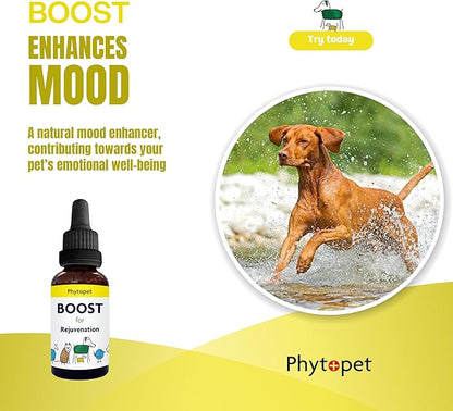 Phytopet Boost | 30ml | 100% Natural Herbal Remedy | Promotes Stamina, Recovery, Wellbeing | For Dogs, Cats, Birds, Horses, Pets |