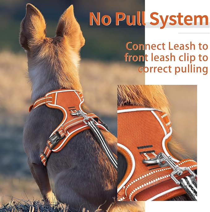 HEELE Dog Harness for Small Dogs No Pull Dog Vest Harness for Small Dog with Soft Padded Handle Reflective for Outdoor Training, Pumpkin Orange, S