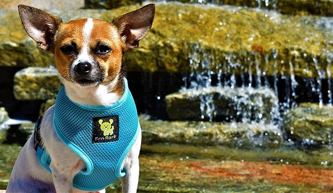 EcoBark Blue Dog Harness - Eco-Friendly Max Comfort Harnesses - Luxurious Soft Mesh Halter - Over The Head Harness Vest- No Pull and No Choke