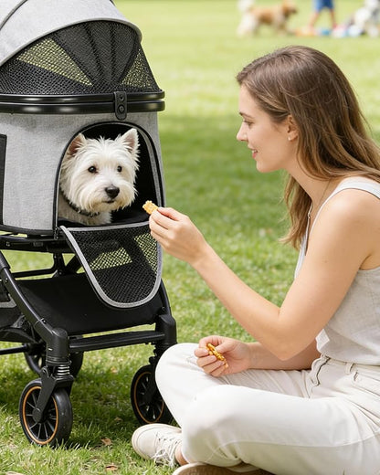 GTPLAYER Pet Stroller with Matching Stroller Mat Set, for Small Dogs and Cats Up to 45 lb, Detachable Carrier, One-Hand Fold, Stroller: Grey, Mat: Grey