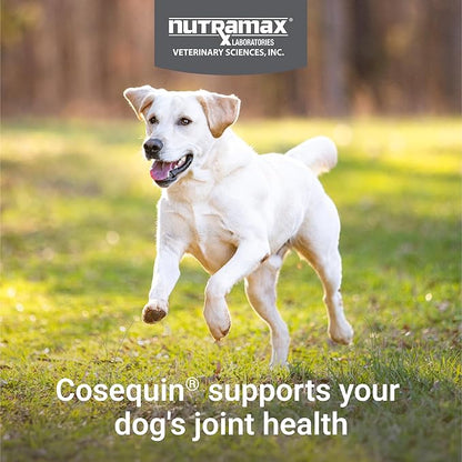 Nutramax Cosequin for Dogs Joint Health Supplement,Contains Glucosamine for Dogs,Plus Chondroitin,Supports Healthy Joints,Sprinkle Capsules,132 Count (Pack of 2)