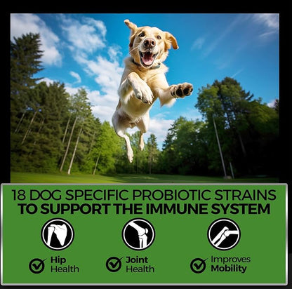 Pet Chef Dog Hip & Joint Pain Relief Supplement - Glucosamine, Chondroitin, MSM, Turmeric - Cannine Arthritis Pain Relief & Mobility Chews - Hip Joint Support Treats Peanut Butter 140ct Low Calories!