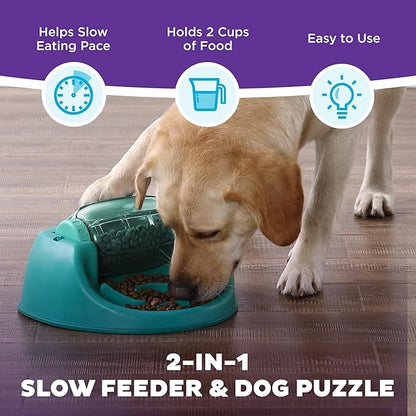 Outward Hound by Nina Ottosson Spin N' Eat Dog Puzzle and Slow Feeder, Level 2 Intermediate Enrichment Toy, Green