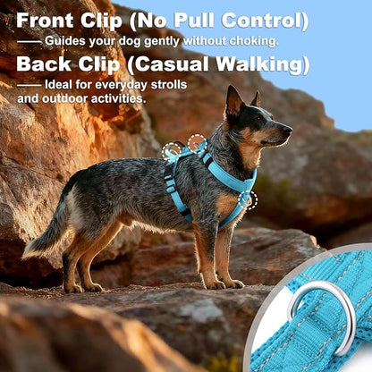No Pull Dog Harness with Handle, Soft Mesh Padded Adjustable for Small Medium Large Dogs | Reflective Easy Walk Harness with Front Clip for Training, Running & Outdoor (Cyan, M)