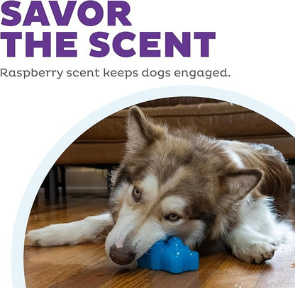 Outward Hound Gummiez Bear Dog Toy & Treat Stuffer, 4.7″ x 3″ Blue Raspberry-Scent Interactive Chew for Dogs, Promote Healthy Teeth, Gums & Mental Enrichment, Reduce Boredom & Support Dental Health