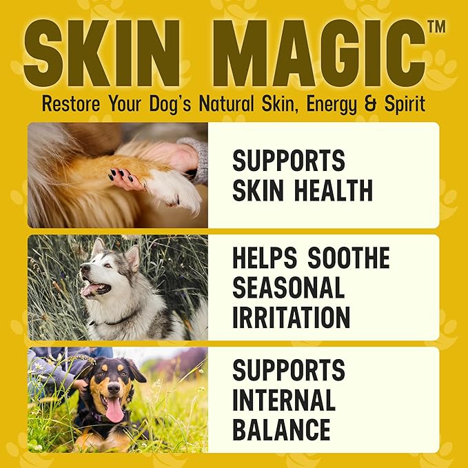 Better Dog Supplements Skin Magic by Cesar Millan – Natural Skin and Coat Supplement for Dogs Irritation from Seasonal Factors, Hot Spots, & Itch Relief Dog Skin Supplement – 4oz (60-Day Supply)