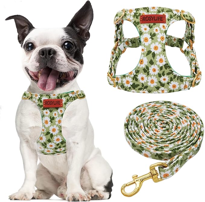 No Pull Dog Harness Adjustable Small Dog Harness and Leash Set, Lightweight and Soft Dog Harness No Choke Escape Proof Pet Harness Vest (Green Daisy, Small)
