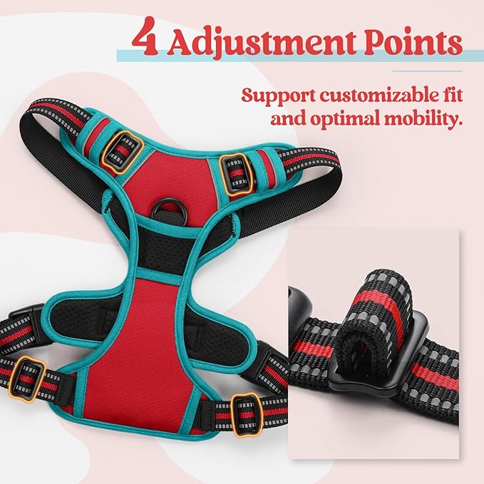 rabbitgoo Dog Harness No Pull with 2 Leash Clips, Adjustable Soft Padded, Reflective Oxford No Choke Pet Vest with Easy Control Handle for Large Dogs, Red & Teal, XL