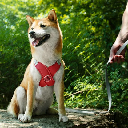Patas Lague Dog Harness with Leash Set Adjustable Soft Padded Step-in Dog Vest No Choke No Pull Reflective for Small Medium Pets with Poop Bags and Dispenser, Solid and No-chew, Red S