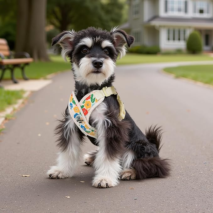 Patas Lague Dog Harness with Leash Set Adjustable Soft Padded Step-in Dog Vest No Choke No Pull Reflective for Small Pets with Poop Bags and Dispenser, Solid and No-chew, Floral Yellow XS
