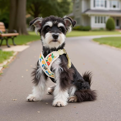 Patas Lague Dog Harness with Leash Set Adjustable Soft Padded Step-in Dog Vest No Choke No Pull Reflective for Small Pets with Poop Bags and Dispenser, Solid and No-chew, Floral Yellow XS
