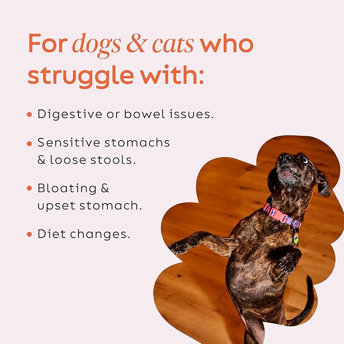 Diggin' Your Dog – Firm Up Pumpkin for Dogs & Cats – Fiber Supplement with Pumpkin & Apple Fiber for Cat & Dog Digestive Support – Made in USA, 16 oz
