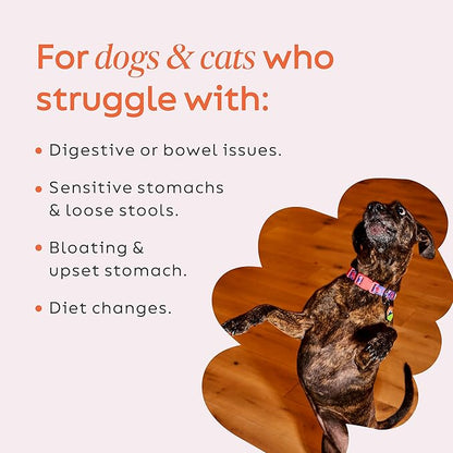 Diggin' Your Dog Firm Up! Pumpkin Bundle – Fiber Supplement with Pumpkin & Apple Fiber for Cat & Dog Digestive Support – Made in USA, 8oz