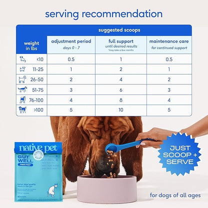 Native Pet GutWell Power Poop - Digestive Support & Fiber for Dogs - Promotes Healthy Stools, Supports Balanced Microbiome & Digestive Function - Triple-Biotic Blend & M-Fiber - 60 Scoops