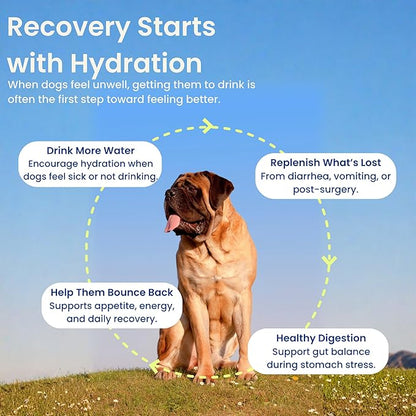 Dog Hydration & Recovery – Helps Dogs Drink More Water During Diarrhea, Vomiting, Low Appetite & Post-Surgery – Digestion Support with Turkey Tail Mushroom & Bone Broth, 12 Sticks