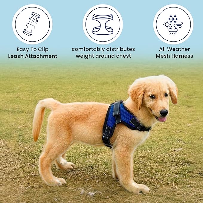 No Pull Reflective Adjustable Dog Harness With Handle- Comfortable Soft All Weather Mesh, Easy On Puppy Harness For Small Medium and Large Dogs (Blue) Medium