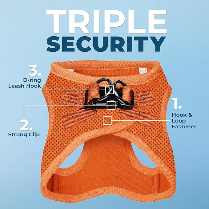 Best Pet Supplies Voyager Step-in Air All Weather Mesh Harness and Reflective Dog 5ft Leash Combo with Neoprene Handle, for Small, Medium and Large Breed Puppies - Set (Orange), Medium