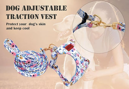 No Pull Dog Harness Adjustable Small Dog Harness and Leash Set, Lightweight and Soft Dog Harness No Choke Escape Proof Pet Harness Vest (Blue Rose, Medium)