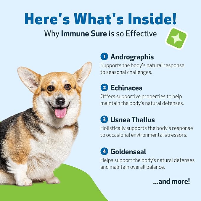 Pet Wellbeing Immune Sure for Dogs - Supports Normal Immune Defenses, Gut Flora Balance, Andrographis, Echinacea, Vitamin C, Zinc - Veterinarian-Formulated Herbal Supplement 4 oz (118 ml)