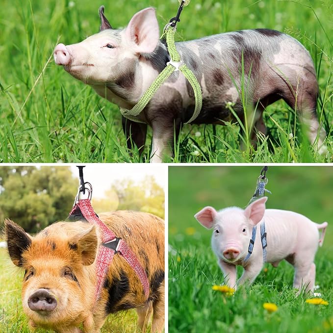 Mini Pig Harness, Adjustable Small Pig Harness with Leash Infinity Style Lead and Soft Foam Handle for Small to Medium Pet Pigs Walking Training Jogging (Green, L)
