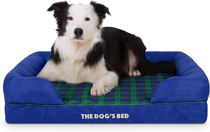 The Dog’s Bed Orthopedic Memory Foam Dog Bed with Bolsters for Large Dogs, High Density Support Mattress, Low Front Entry, Removable Washable Cover, Oxford Fabric, Black Watch Tartan, Large
