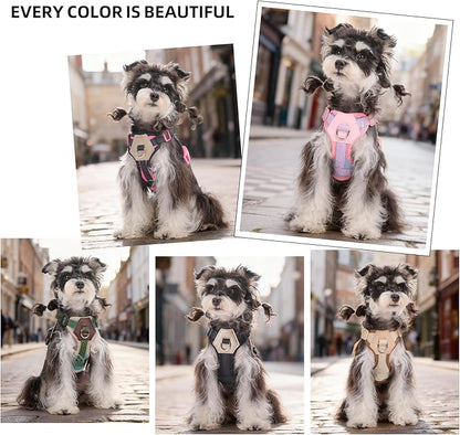 Small Dog Harness and Leash Set, Breathable Mesh Puppy Harness, Adjustable Dog Harness for Small Medium Large Dogs, No-Pull Pet Harness for Daily Walking (Faint Yellow, Medium)