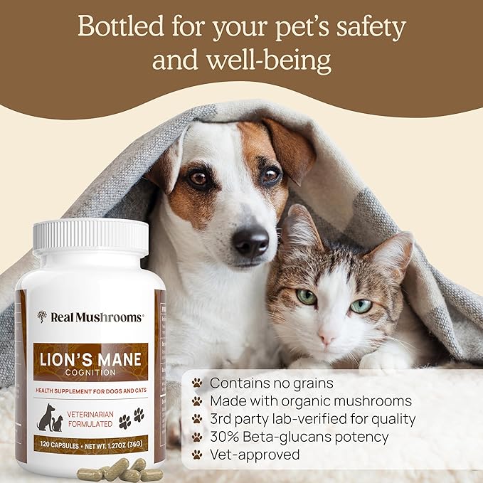 Real Mushrooms Lion’s Mane Pet Mushroom Supplement – Pet Wellbeing Capsules – for Cat & Dog Supplement & Vitamins – Support Mindful Routines – Organic, Vegan, Non-GMO, 120 Count