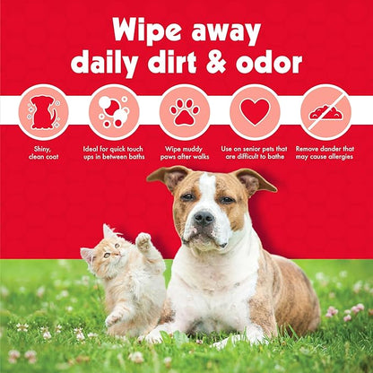 Petkin Pet Wipes for Dogs & Cats - 200 Large Wipes - Removes Dirt & Odor - Cleans Ears, Face, Butt, Eye Area - Convenient for Home or Travel - 2 Packs.