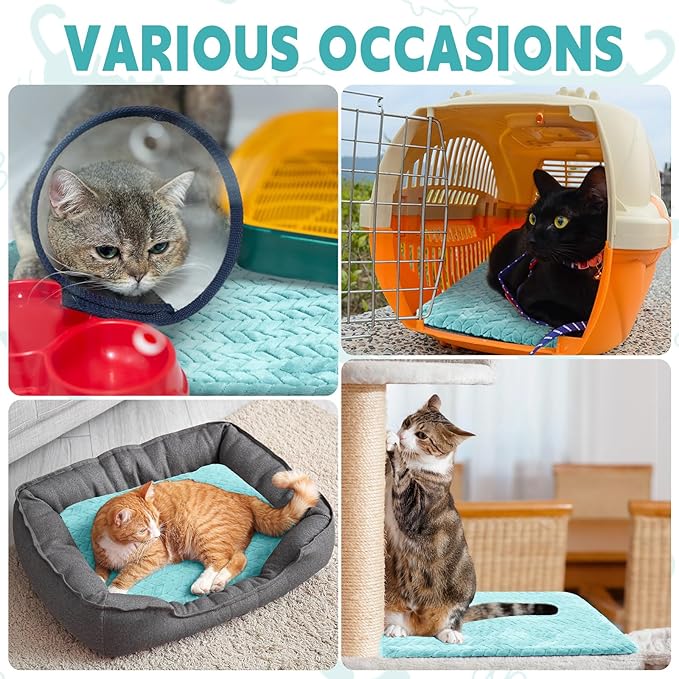 Drydiet 4 Pack Self Warming Cat Bed Mat Self Heating Pad for Dog Extra Warm Winter Pet Pad Washable Thermal Pads Mats for Pets Indoor Outdoor(Green,16 x 20 Inch)