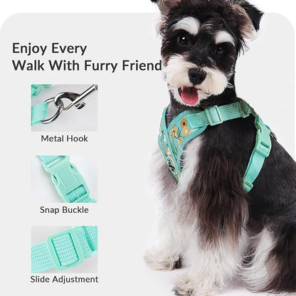 Patas Lague Dog Harness with Leash Set Adjustable Soft Padded Step-in Dog Vest No Choke No Pull Reflective for Small Pets with Poop Bags and Dispenser, Solid and No-chew, Floral Green XS