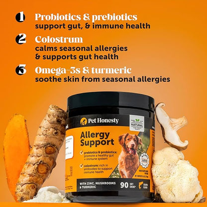 Pet Honesty Health & Allergy Relief Duo — Multivitamin 10-in-1 Chews (90 ct) + Allergy & Itch Relief Chews (90 ct)