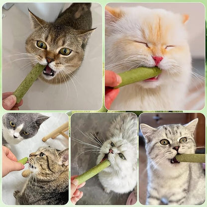 30g Cat Grass Sticks, Freeze Dried Cats Grass Teething Stick, Edible Cat Chew Toy for Teeth Cleaning Dental Health and Hairball Removal