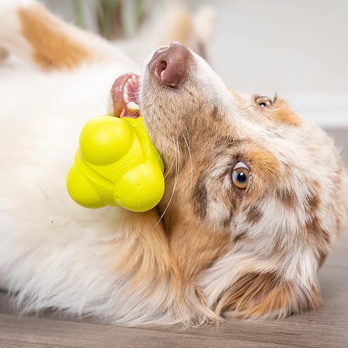 Hyper Pet Fetching Dog Toys - Throwing Bumpy Ball Dog Toy Made with EVA Foam - Lightweight & Floats on Water (Pack of 5)