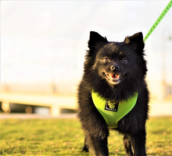 EcoBark Dog Harness - Eco-Friendly Max Comfort Harnesses - Luxurious Soft Mesh Halter - Over the Head Harness Vest- No Pull and No Choke for Puppy, Toy Breeds & Small Dogs (Medium, Green)