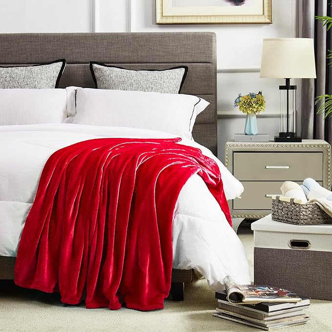 DREAMNINE Oversized Soft Fuzzy Flannel Fleece Throw Blanket Twin Size 60" x 80", Decorative Solid Lightweight Fluffy Velvet Bed Blankets, Luxury Big Cozy Shag Plush Microfiber Blanket for Bedroom, Red