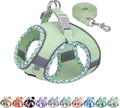 AIITLE XXS Dog Harness & Leash Set - Breathable Reflective No-Choke Small Dog Harness for Teacup Puppies, Indoor/Outdoor Use - Boston Terrier, Maltese, Chihuahua (Sage, XXS)