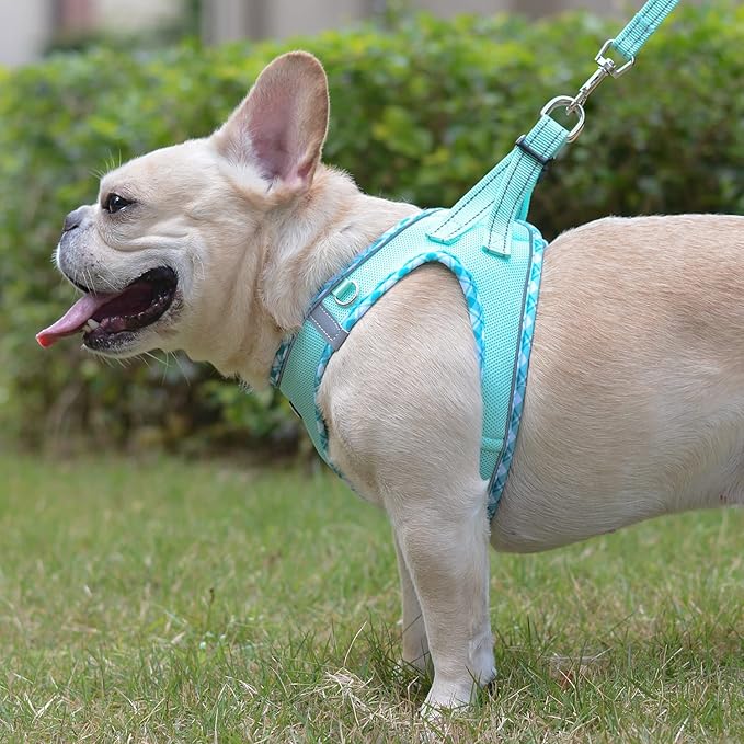 Mercano Soft Mesh Dog Harness and Leash Set, No-Chock Step-in Reflective Breathable Lightweight Easy Walk Vest Harnesses with Safety Buckle for Small Dogs, Cats (Light Green, XS)