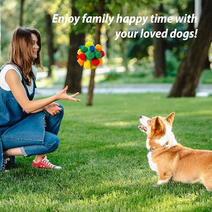 PAWISE Snuffle Ball for Dogs, Sniffle Treat Puzzle Toy, Dog Snuffle Balls, Snuffle Toy, Machine Washable, Foraging Sniffle Treat Ball for Puppies and Boredom Relief (Red Rainbow) (Medium)