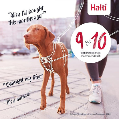 Halti No Pull Harness - Stop Your Dog Pulling on The Leash. Adjustable, Lightweight and Easy to Use. Reflective Dog Training Harness for Toy and Small Dogs (Size XS, Burnt Orange)