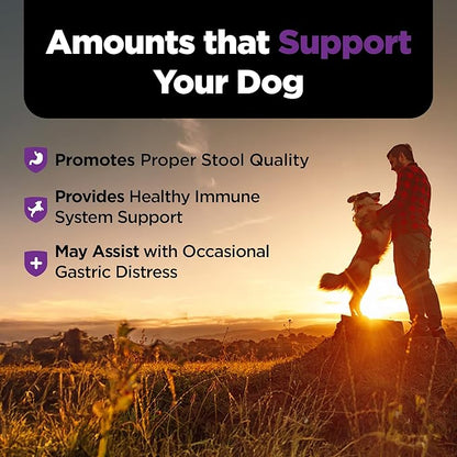 Nutri-Vet Pre & Probiotics for Dogs, Digestive Support, Upset Stomach, Puppy Probiotic, Pet Vitamins and Supplements, Dog Probiotics, Liver & Cheese Flavor, 120 Soft Chews