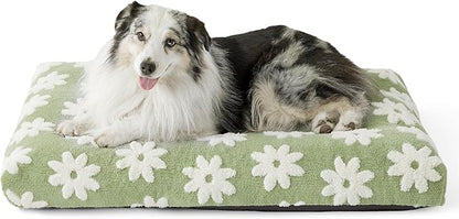 LE SURE XLarge Dog Bed-Thick Shredded Chopped Foam Pet Bed Indoor with Removable Cover, Cute Modern Fuzzy Plush & Anti Slip Bottom, Green