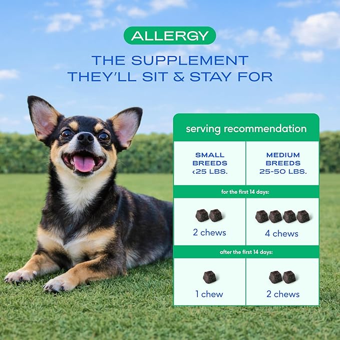 Native Pet Dog Allergy Chews - Dog Allergy Relief for Small Breeds - Supports Seasonal Itch Relief, Healthy Immune Function & Reduces Sneezing - Colostrum, Spirulina, & Probiotics - 30 Days Supply