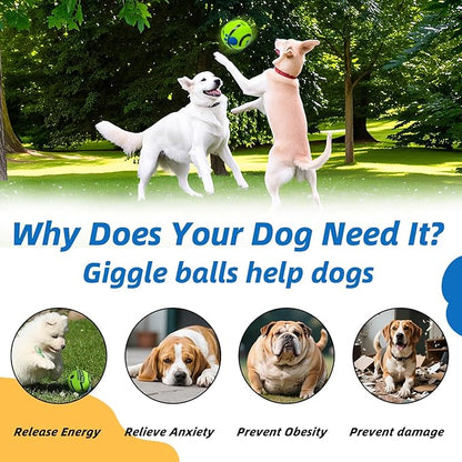 Dog Toys Ball, Interactive Dog Ball, Shaking with Gibbering Sound, for Training & Herding, XS, 2.75 in (7 cm)